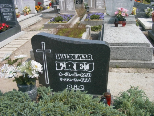 Frej Waldemar